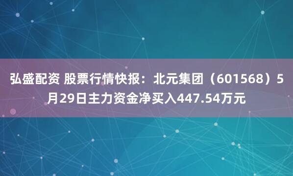 弘盛配资 股票行情快报：北元集团（601568）5月29日主力资金净买入447.54万元