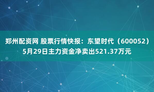 郑州配资网 股票行情快报：东望时代（600052）5月29日主力资金净卖出521.37万元