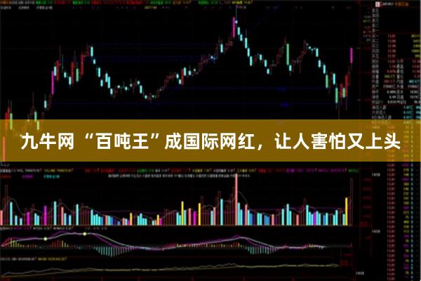 九牛网 “百吨王”成国际网红，让人害怕又上头